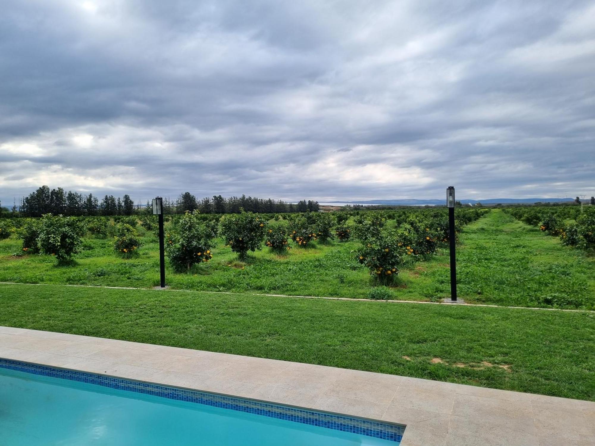 Addo Park Suma'S Rest Otel Dış mekan fotoğraf